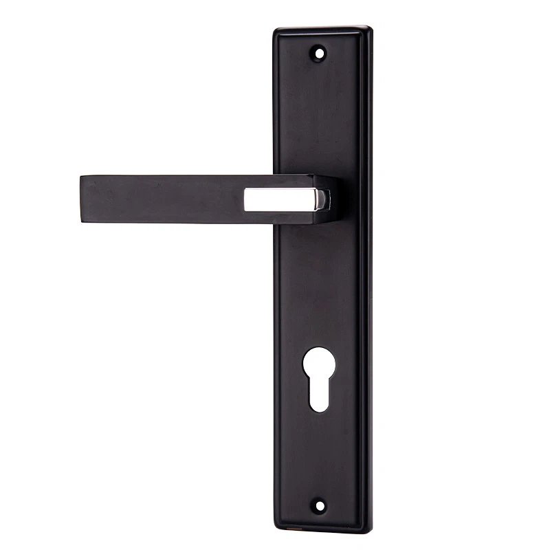 Long Front Door Handle With Lock